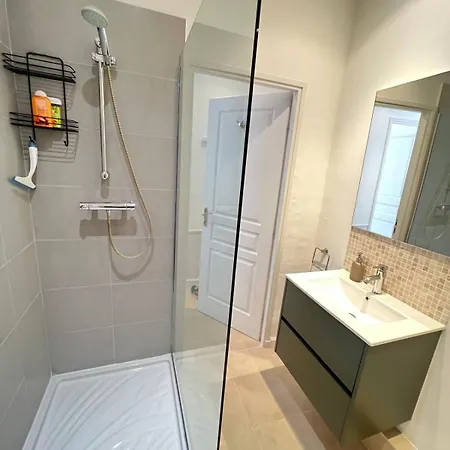 2 Bedrooms Meynadier At 2 Min Beachpalais *
